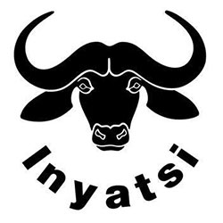 INYATSI CONSTRUCTION GROUP HOLDINGS